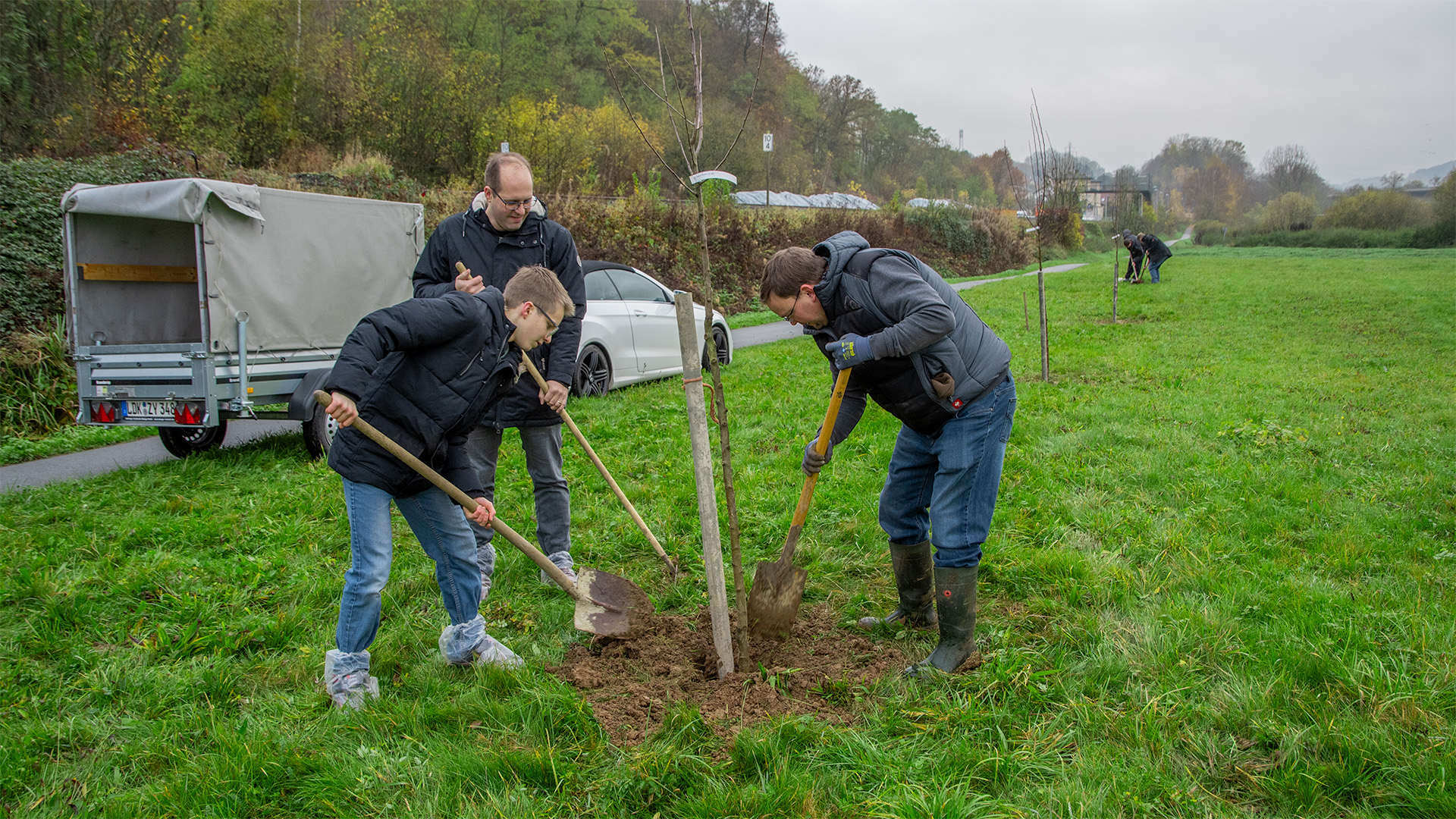 Mit vereinten Kräften werden fleißig die Bäume am Weg entlang gepflanzt